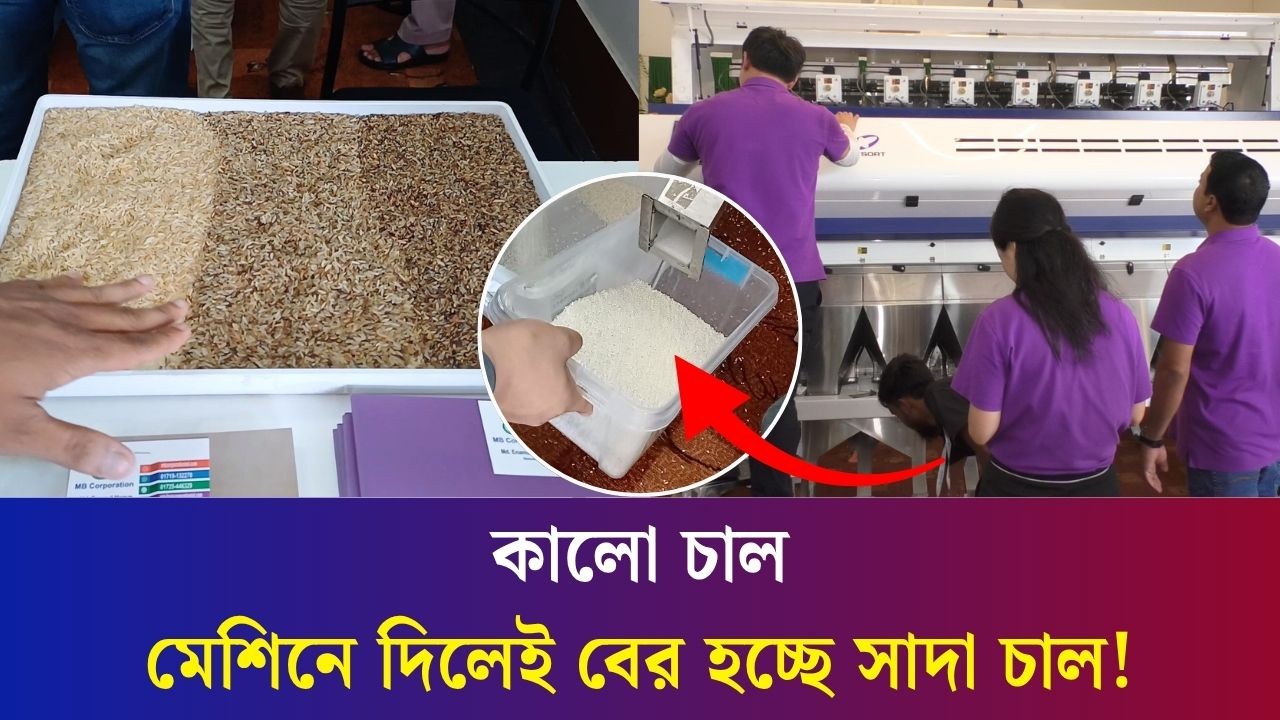 কালো চাল মেশিনে দিলেই বের হচ্ছে সাদা চাল !